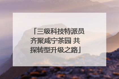 三级科技特派员齐聚咸宁茶园 共探转型升级之路
