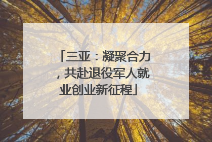 三亚：凝聚合力，共赴退役军人就业创业新征程