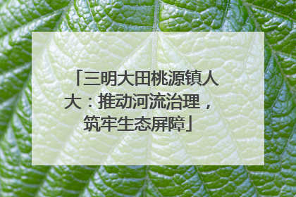 三明大田桃源镇人大：推动河流治理，筑牢生态屏障