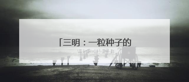 三明：一粒种子的“链式”崛起之路
