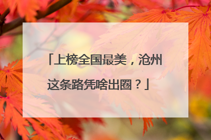 上榜全国最美，沧州这条路凭啥出圈？