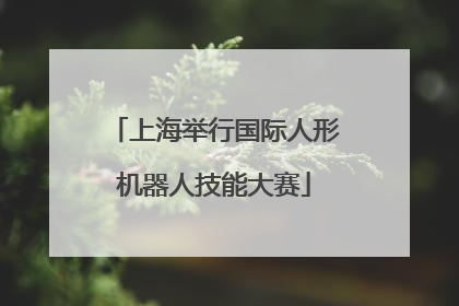 上海举行国际人形机器人技能大赛