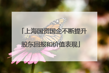 上海国资国企不断提升股东回报和价值表现