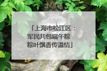 上海市松江区：军民共包端午粽 粽叶飘香传温情