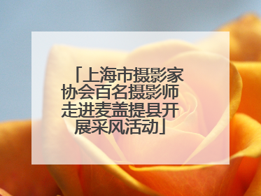 上海市摄影家协会百名摄影师走进麦盖提县开展采风活动