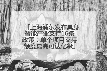 上海浦东发布具身智能产业支持16条政策：单个项目支持额度最高可达亿级