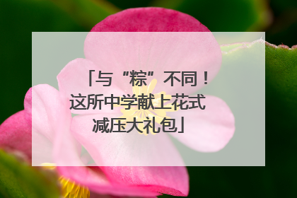 与“粽”不同！这所中学献上花式减压大礼包