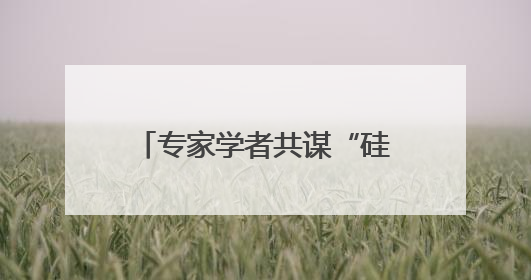 专家学者共谋“硅”途 2025年中国（乐山）硅产业链发展大会开幕