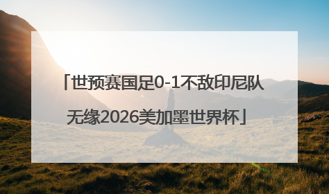 世预赛国足0-1不敌印尼队 无缘2026美加墨世界杯
