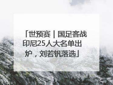 世预赛｜国足客战印尼25人大名单出炉，刘若钒落选