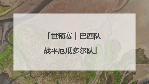 世预赛｜巴西队战平厄瓜多尔队