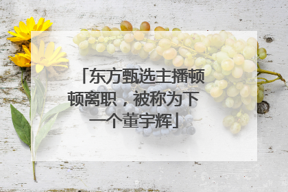 东方甄选主播顿顿离职，被称为下一个董宇辉