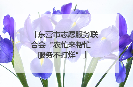 东营市志愿服务联合会“农忙来帮忙 服务不打烊”