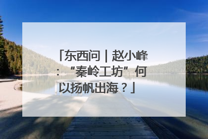 东西问｜赵小峰：“秦岭工坊”何以扬帆出海？