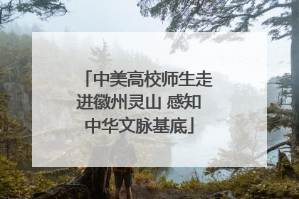中美高校师生走进徽州灵山 感知中华文脉基底