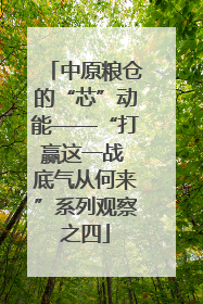 中原粮仓的“芯”动能——“打赢这一战 底气从何来”系列观察之四