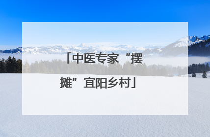 中医专家“摆摊”宜阳乡村