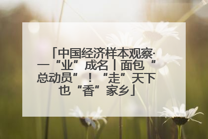 中国经济样本观察·一“业”成名丨面包“总动员”！“走”天下也“香”家乡