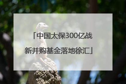 中国太保300亿战新并购基金落地徐汇