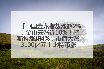 中国金龙指数涨超2%，金山云涨近10%！特斯拉涨超4%，市值大涨3100亿元！比特币涨回11万美元关口