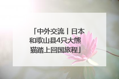 中外交流丨日本和歌山县4只大熊猫踏上回国旅程