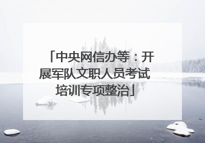 中央网信办等：开展军队文职人员考试培训专项整治