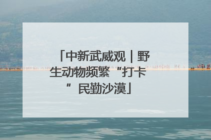中新武威观｜野生动物频繁“打卡”民勤沙漠