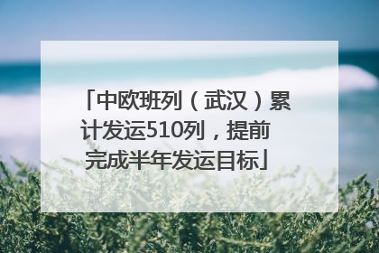中欧班列（武汉）累计发运510列，提前完成半年发运目标