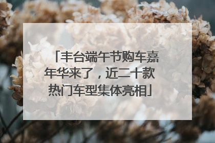 丰台端午节购车嘉年华来了，近二十款热门车型集体亮相