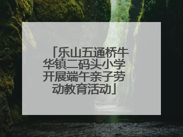 乐山五通桥牛华镇二码头小学开展端午亲子劳动教育活动