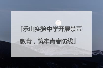 乐山实验中学开展禁毒教育，筑牢青春防线