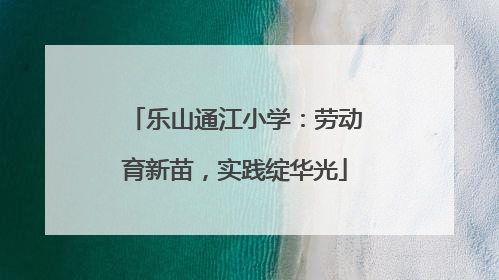 乐山通江小学：劳动育新苗，实践绽华光
