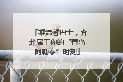 乘温馨巴士，奔赴属于你的“青岛阿勒泰”时刻