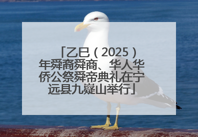 乙巳（2025）年舜裔舜商、华人华侨公祭舜帝典礼在宁远县九嶷山举行