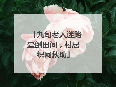 九旬老人迷路晕倒田间，村居织网救助