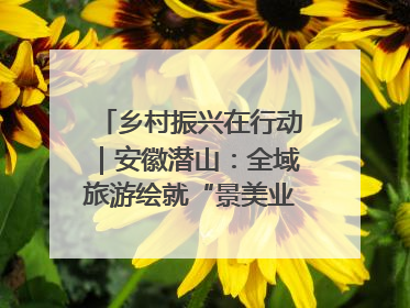 乡村振兴在行动｜安徽潜山：全域旅游绘就“景美业兴民富”新画卷