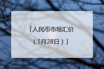 人民币市场汇价（5月28日）