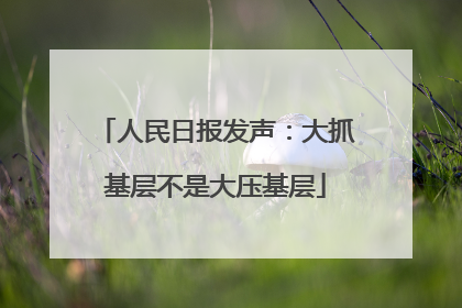 人民日报发声：大抓基层不是大压基层