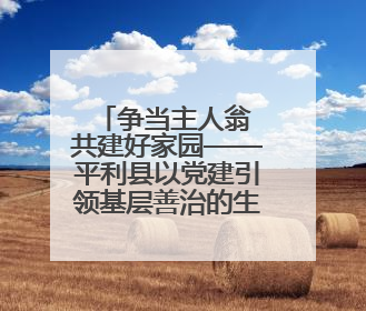 争当主人翁 共建好家园——平利县以党建引领基层善治的生动实践
