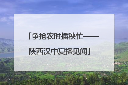 争抢农时插秧忙——陕西汉中夏播见闻