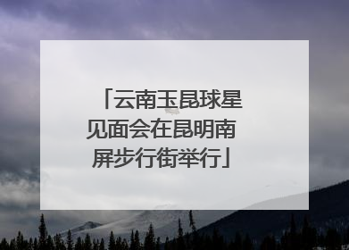 云南玉昆球星见面会在昆明南屏步行街举行