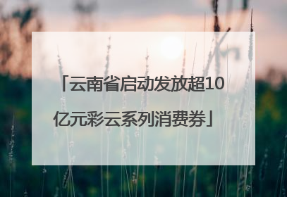 云南省启动发放超10亿元彩云系列消费券