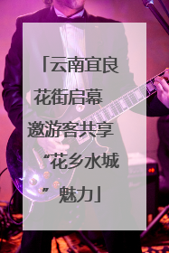 云南宜良花街启幕 邀游客共享“花乡水城”魅力