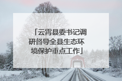 云霄县委书记调研督导全县生态环境保护重点工作