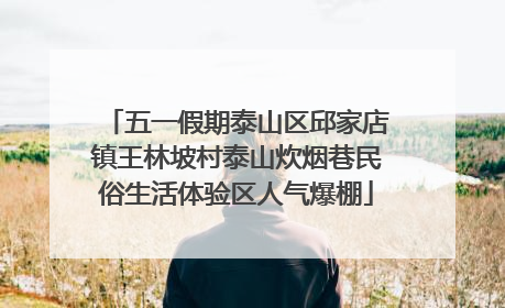 五一假期泰山区邱家店镇王林坡村泰山炊烟巷民俗生活体验区人气爆棚