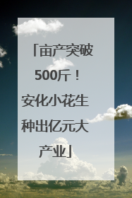亩产突破500斤！安化小花生种出亿元大产业