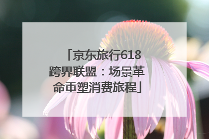 京东旅行618跨界联盟：场景革命重塑消费旅程