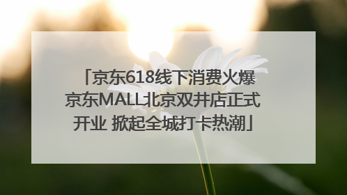 京东618线下消费火爆 京东MALL北京双井店正式开业 掀起全城打卡热潮