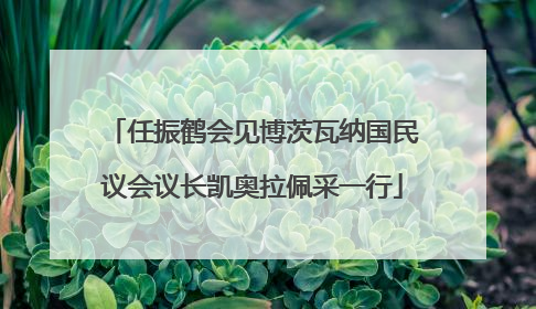 任振鹤会见博茨瓦纳国民议会议长凯奥拉佩采一行