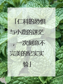 仁科的恐惧与小鹿的迷茫，一次刻意不完美的纪实实验